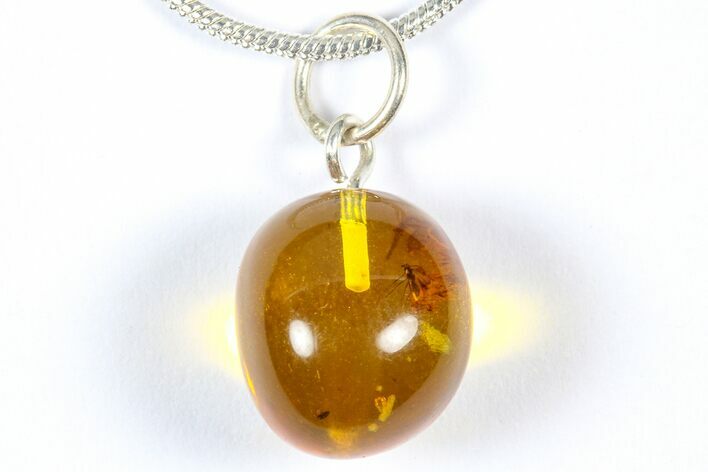 Polished Baltic Amber Pendant (Necklace) - Contains Fly! #368997